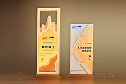 777盛世国际国际一举斩获“2024年度中国区最佳雇主”等多项大奖